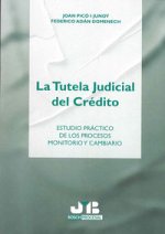 La tutela judicial del crédito : estudio práctico de los procesos monitorio y cambiario