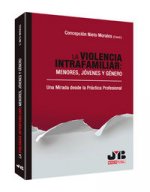 La violencia intrafamiliar: menores, jóvenes y género