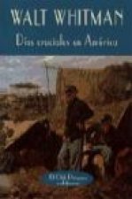Días cruciales en América : (diario de la Guerra de Secesión, 1862-1865)