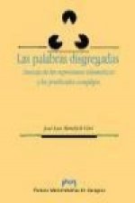 Las palabras disgregadas : sintaxis de las expresiones idiomáticas y los predicados complejos