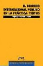 El derecho internacional público en la práctica : textos