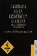 Teoría lingüística:fundamentos