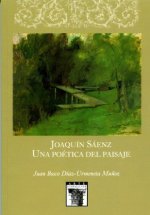 Joaquín Sáenz : una poética del paisaje