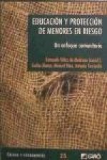 Educación y protección de menores en riesgo : un enfoque comunitario