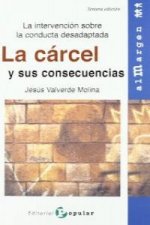 La cárcel y sus consecuencias : la intervención sobre la conducta desadaptada