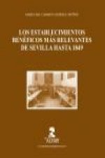 Los establecimientos benéficos más relevantes de Sevilla hasta 1849