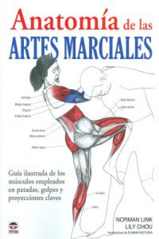Anatomía de las artes marciales