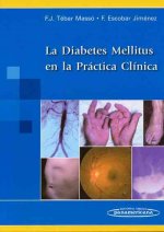 La diabetes en la práctica clínica