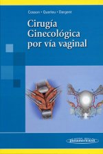 Cirugía ginecológica por vía vaginal