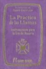 La práctica de las llamas : instrucciones para la Era de Acuario
