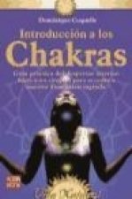 Introducción a los chakras