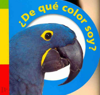 De Que Color Soy? = What Color Am I?