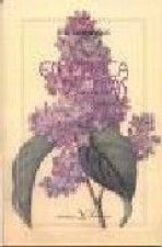 En época de lilas
