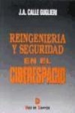 Reingeniería y seguridad en el ciberespacio