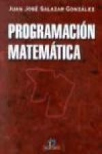 Programación matemática