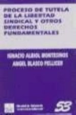 Proceso de tutela de la libertad sindical y otros derechos fundamentales