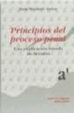 Principios del proceso penal : una explicación basada en la razón