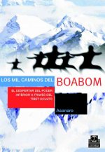 Los mil caminos del Boabom