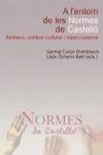 A l'entorn de les normes de Castelló : ambient, context cultural i repercussions