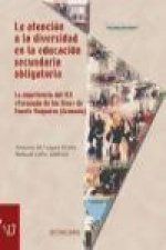 La atención a la diversidad en la Educación Secundaria Obligatoria : la experiencia del IES 