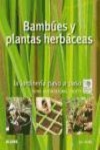 Bambúes y plantas herbáceas