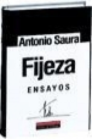 Fijeza : ensayos