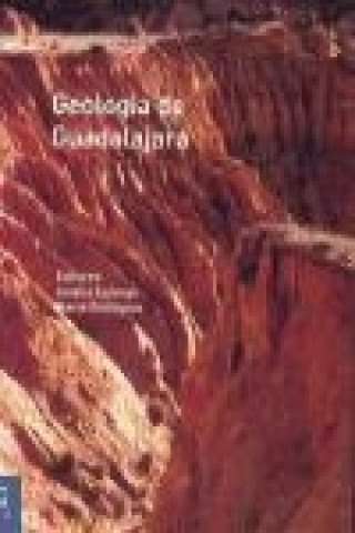 Geología de Guadalajara : celebrado en Guadalajara, del 7 al 12 de julio de 2008