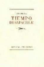 Tiempo desapacible