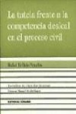 La tutela frente a la competencia desleal en el proceso civil