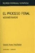 El proceso penal