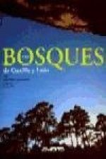 Los bosques de Castilla y León