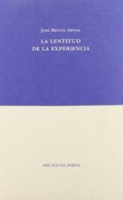 La lentitud de la experiencia
