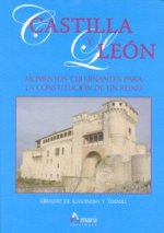 Castilla y León : momentos culminantes para la constitución de un reino