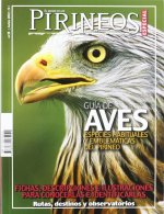 Guía de aves : especies habituales y emblemáticas del Pirineo
