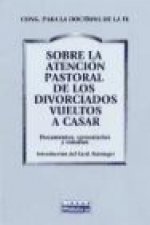 Atención pastoral de los divorciados vueltos a casarse