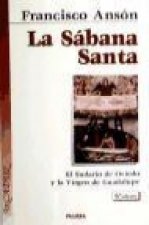 La sábana santa : últimos hallazgos, 2002, el sudario de Oviedo y la virgen de Guadalupe