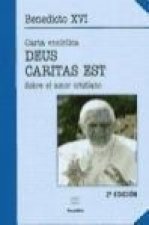 Carta encíclica 