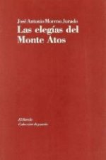 Las elegías del Monte Atos : (1994-1997)