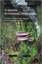 Os cogumelos nos ecosistemas forestais galegos