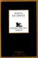 Poeta en diwan