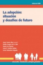 La adopción : situación y desafíos de futuro