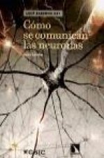 Cómo se comunican las neuronas
