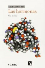 Las hormonas