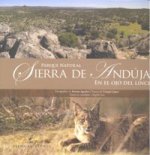 Parque Natural Sierra de Andújar : en el ojo del lince