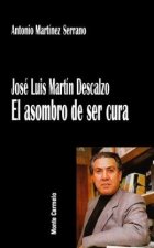 José Luis Martín Descalzo : el asombro de ser cura