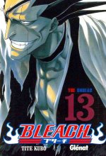 Bleach 13