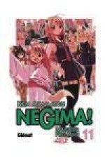Negima! Magister Negi Magi 11