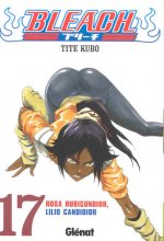 Bleach 17