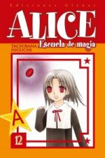 Alice escuela de magia 12