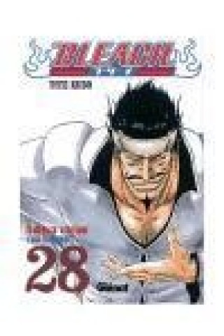 Bleach 28